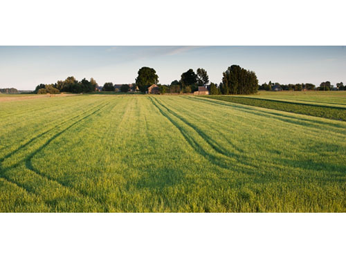 Prasideda pasėlių ir žemės ūkio naudmenų deklaravimas